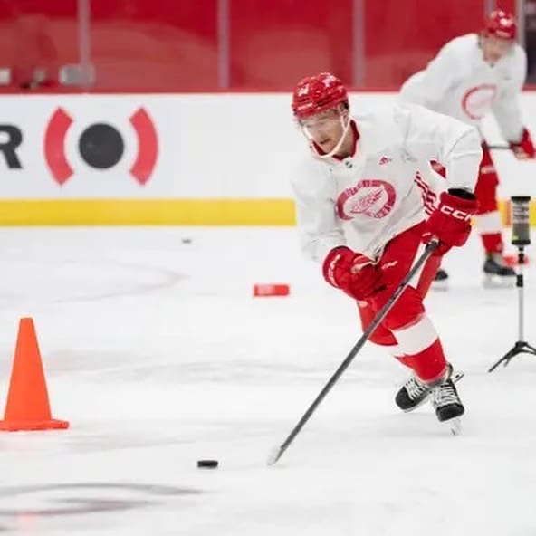 Vanderbeck Red wings